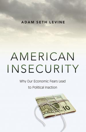 Cover of the book American Insecurity by Jan-Werner Müller