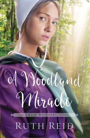 Cover of the book A Woodland Miracle by Denise Hildreth Jones