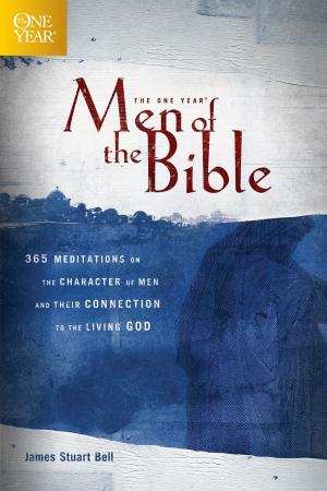 Book cover of The One Year Men of the Bible