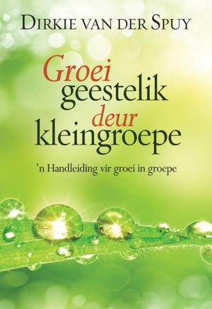 Book cover of Groei geestelik deur kleingroepe (eBoek)