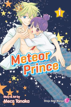 Cover of the book Meteor Prince, Vol. 1 by Akaza Samamiya