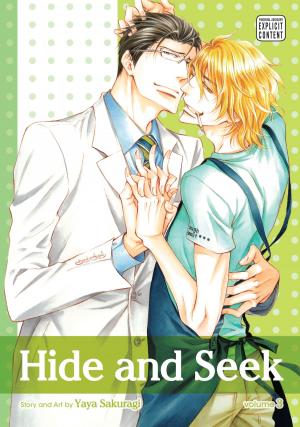 Book cover of Hide and Seek, Vol. 3 (Yaoi Manga)