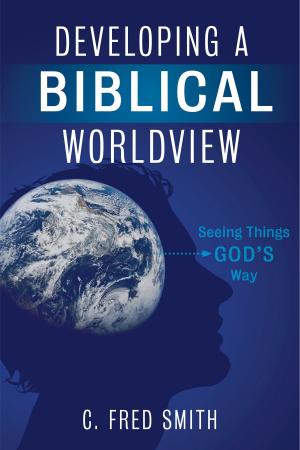 Cover of the book Developing a Biblical Worldview by Lissa Raines