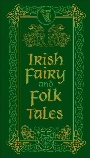 Cover of the book Irish Fairy and Folk Tales (Barnes & Noble Collectible Editions) by W. H. Hudson