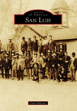 Cover of the book San Luis by Lewis T. Karabatsos