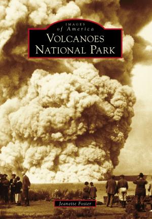 Cover of the book Hawai'i Volcanoes National Park by D. Molentia Guttman, Ernest Golden, African American Diversity Cultural Center Hawai'i
