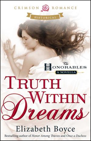 Book cover of Truth Within Dreams