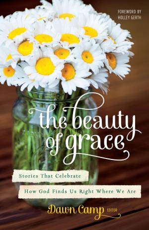 Cover of the book The Beauty of Grace by Markus Bockmuehl, Craig Bartholomew, Joel Green, Christopher Seitz