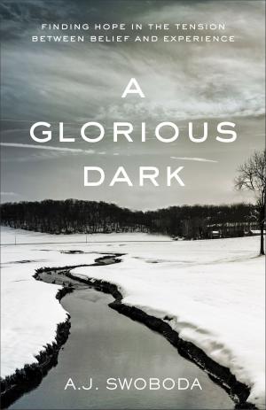 Cover of the book A Glorious Dark by Willard F. Jr. Harley