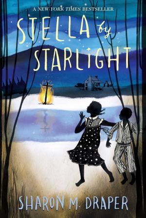 Cover of the book Stella by Starlight by Ian Falconer