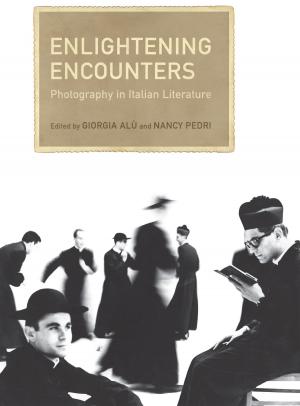 Cover of the book Enlightening Encounters by Selwyn Dewdney, Kenneth Kidd