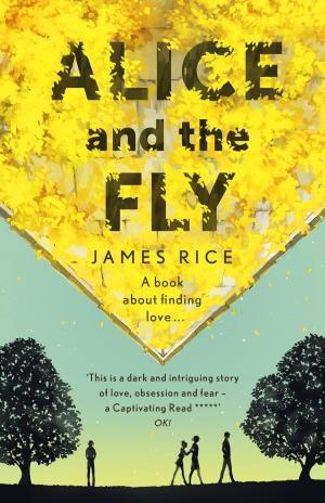 Cover of the book Alice and the Fly by Simon Hooper, Father of Daughters