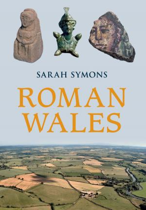 Cover of the book Roman Wales by Elizabeth Reeve
