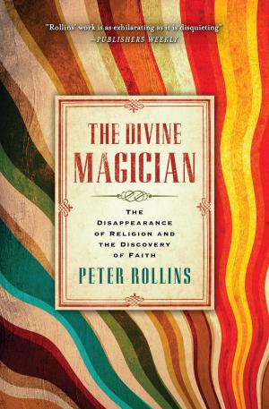 Cover of the book The Divine Magician by Freeman-Smith LLC
