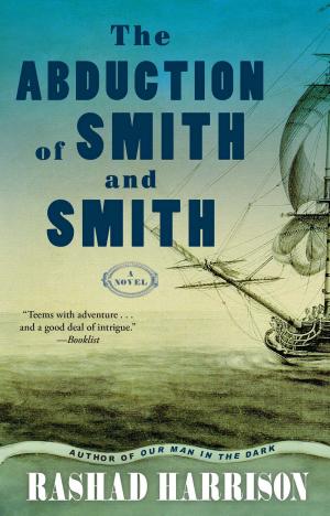 Cover of the book The Abduction of Smith and Smith by Xu Xiaobin