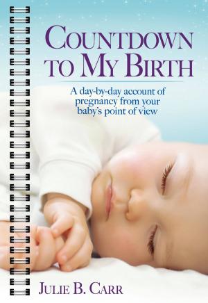 Cover of the book Countdown To My Birth by David Straker