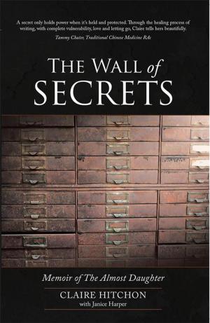 Cover of the book The Wall of Secrets by Teri L Hooper