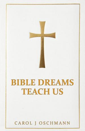 Cover of the book Bible Dreams Teach Us by Krista Thornhill Stel