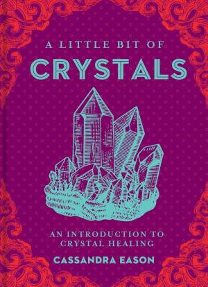 Cover of the book A Little Bit of Crystals by Linda Ellis