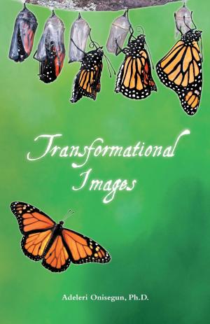 Cover of the book Transformational Images by Kenny Pearl
