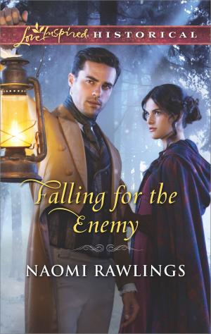 Cover of the book Falling for the Enemy by Jenna McKnight