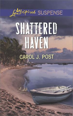 Book cover of Shattered Haven
