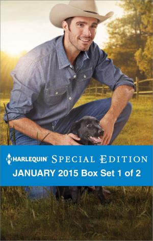 Cover of the book Harlequin Special Edition January 2015 - Box Set 1 of 2 by Pamela Browning