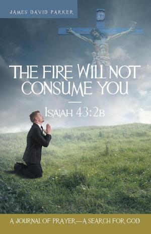 Book cover of The Fire Will Not Consume You—Isaiah 43:2B