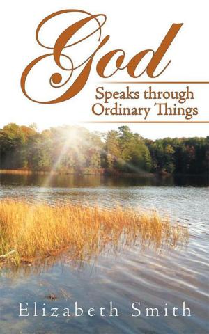 Cover of the book God Speaks Through Ordinary Things by Meredith Lane