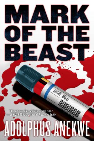 Cover of the book Mark of the Beast by Julia Keller