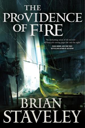Cover of the book The Providence of Fire by Orson Scott Card