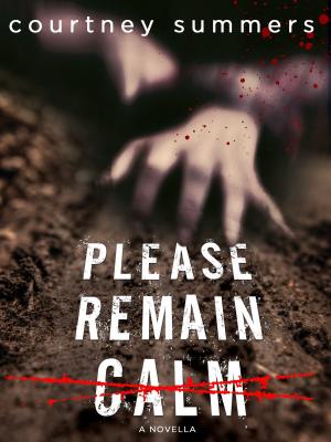 bigCover of the book Please Remain Calm by 