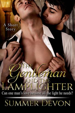 Book cover of The Gentleman and the Lamplighter