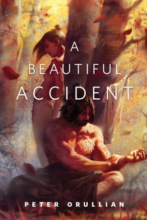 Cover of the book A Beautiful Accident by Chelsea Quinn Yarbro