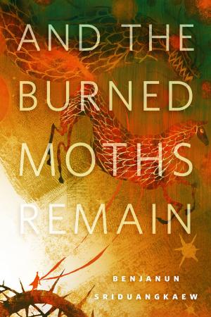 Book cover of And the Burned Moths Remain