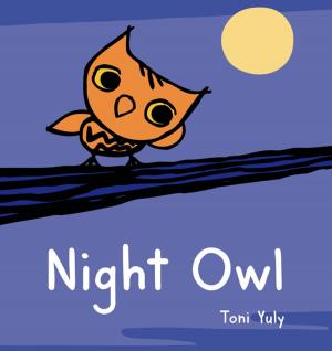 Cover of the book Night Owl by Martha Brockenbrough