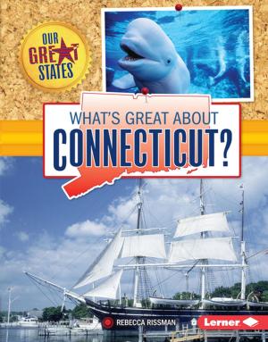 Cover of the book What's Great about Connecticut? by Sheila Anderson