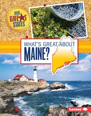Cover of What's Great about Maine?