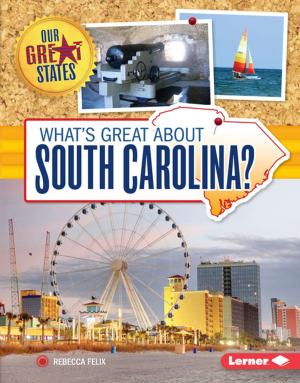 Cover of the book What's Great about South Carolina? by Matt Doeden