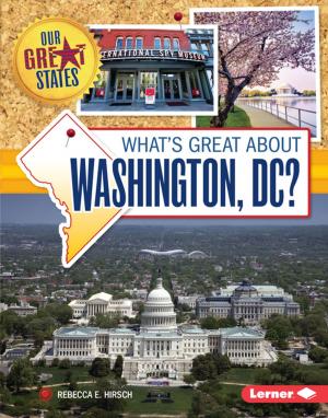Cover of the book What's Great about Washington, DC? by Laurie Friedman