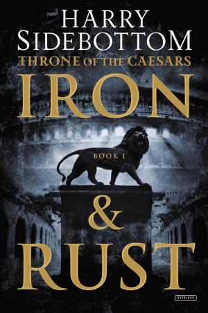 Cover of the book Iron and Rust by James Naughtie