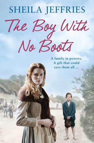 Cover of the book The Boy With No Boots by Christopher Moore