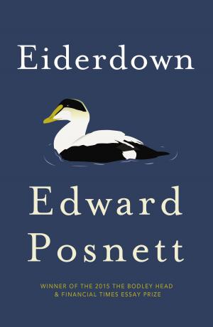 Cover of the book Eiderdown by Katie Flynn