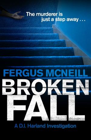 Book cover of Broken Fall