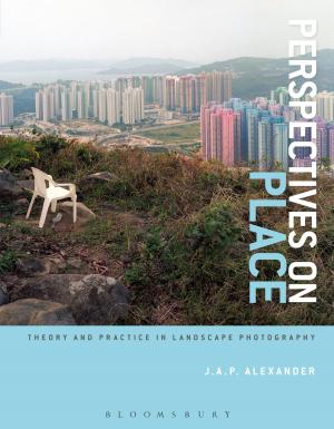 Cover of the book Perspectives on Place by John Hannavy