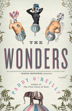 Cover of the book The Wonders by Peter Golden