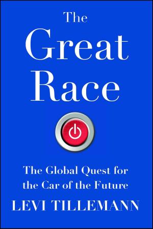 Book cover of The Great Race