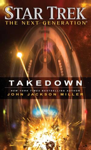 Cover of the book Takedown by Julia London