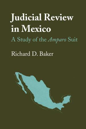 Cover of the book Judicial Review in Mexico by Roland H. Wauer