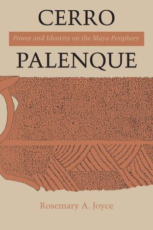 Cover of the book Cerro Palenque by Richard V. Francaviglia